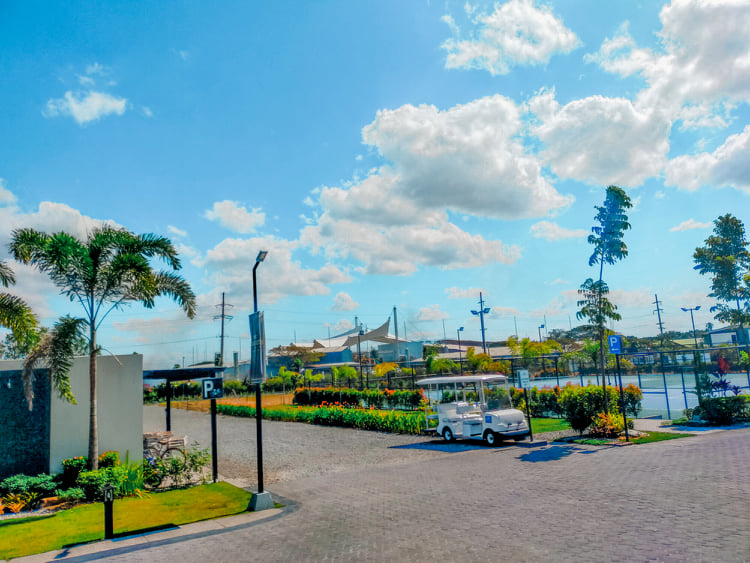 87746912 772195953186640 1333490446650834944 n