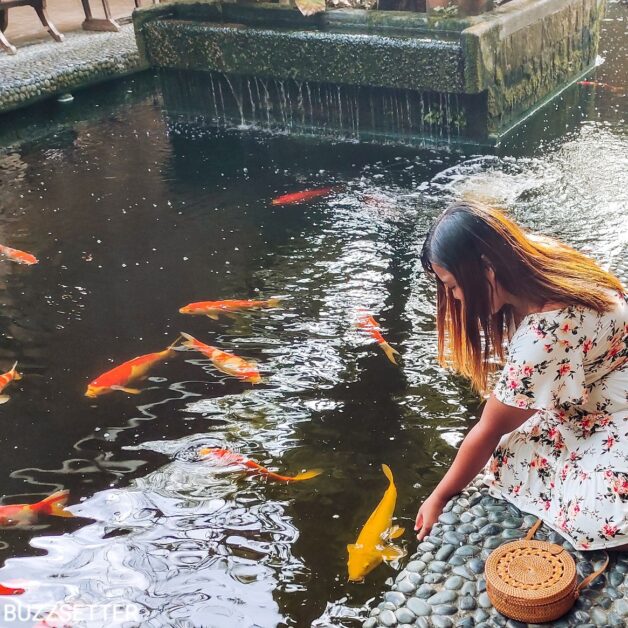 koi fish cebu mactan white sands resort and spa