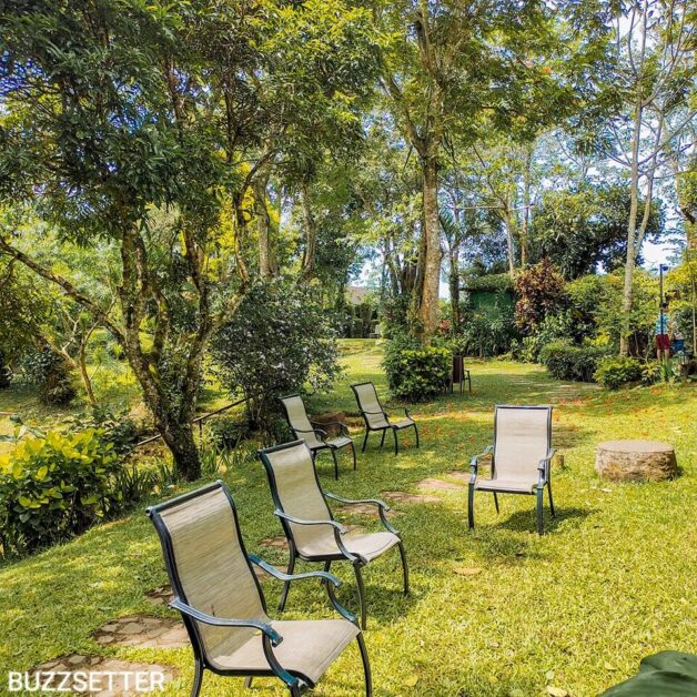 the farmers table tagaytay chairs