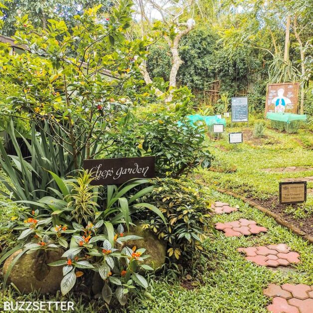the farmers table tagaytay garden area walk