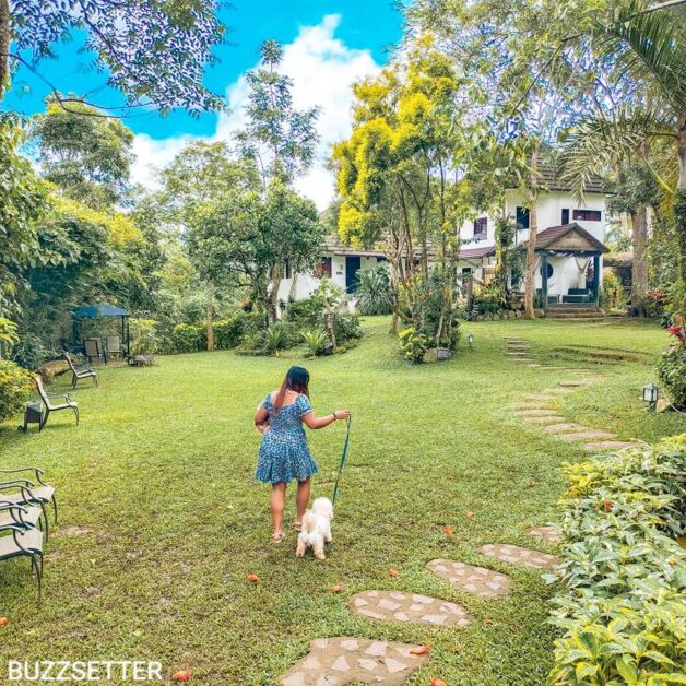 the farmers table tagaytay pet friendly restaurant
