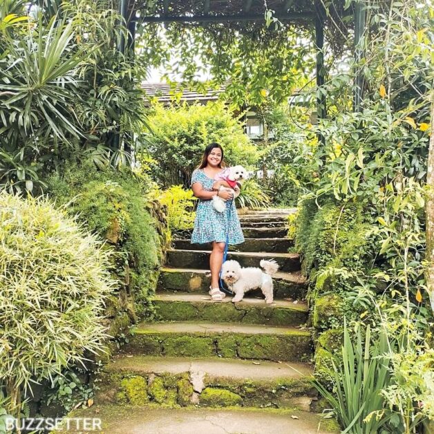 the farmers table tagaytay pet friendly small
