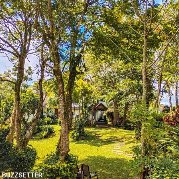 the farmers table tagaytay plantitas