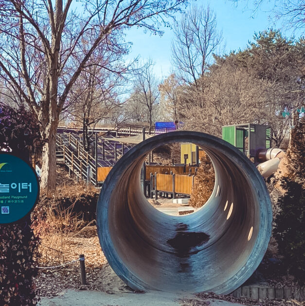 bts seoul tour seoul forest woodland playground