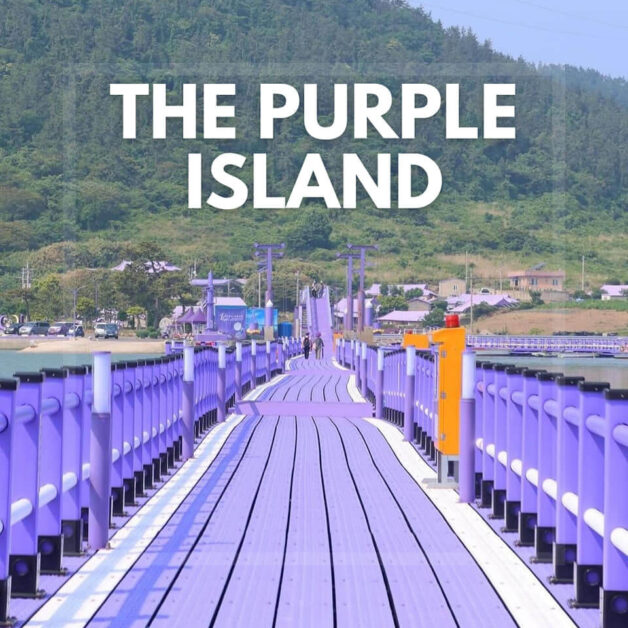 purple island korea