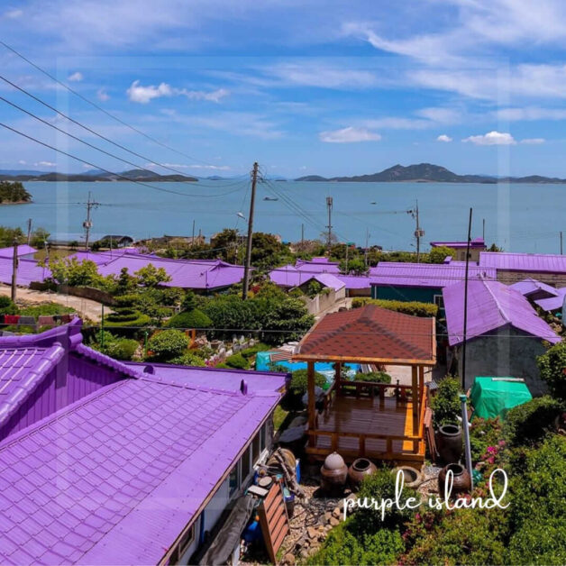 purple island korea 10