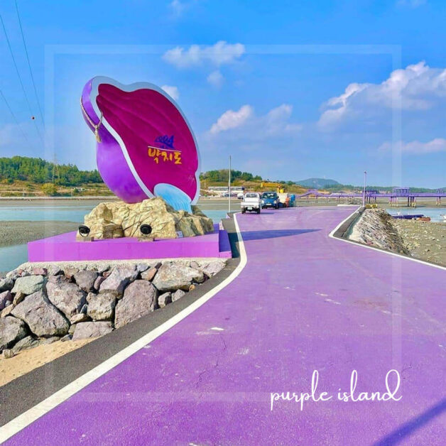 purple island korea 12