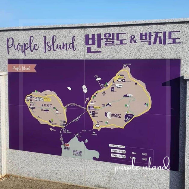 purple island korea 14