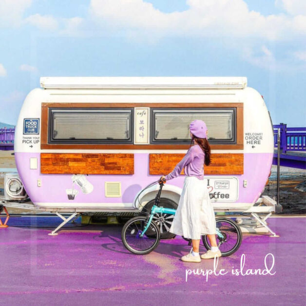 purple island korea 2