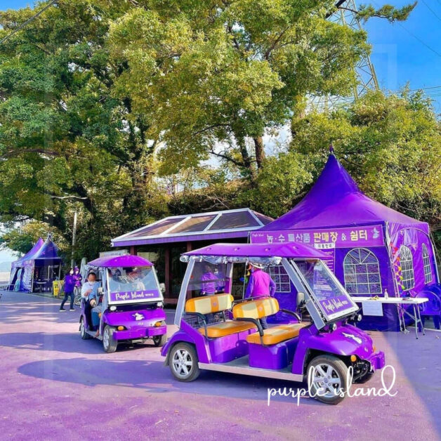 purple island korea 6
