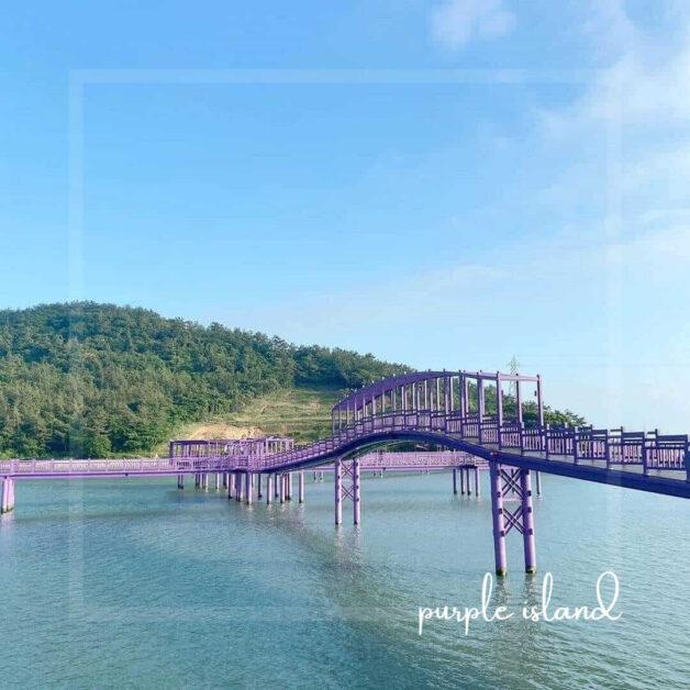 purple island korea 7