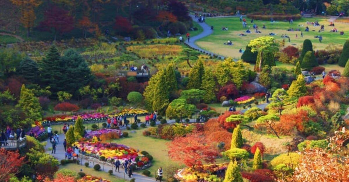 The Garden of Morning Calm In Korea 1 1