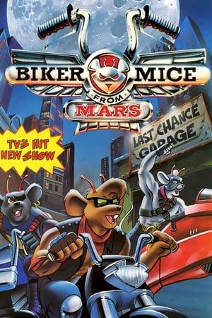 bikermicefrommars buzzsetter