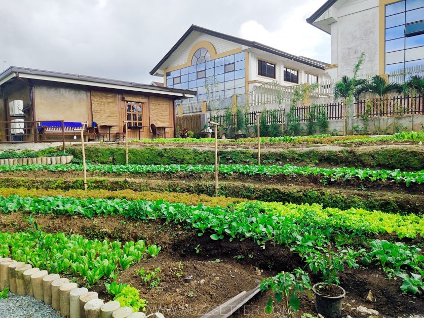 PicsArt 06 15 10.07.52