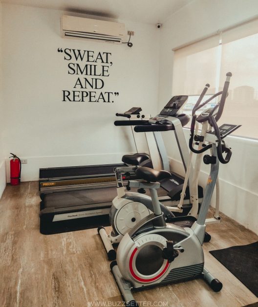 the mansion buzzsetter 21