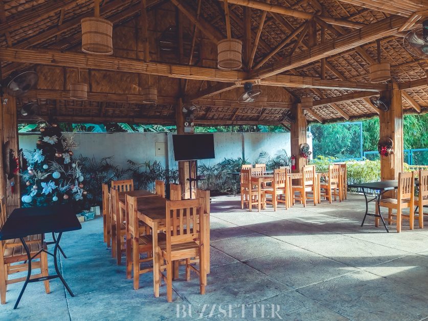 PicsArt 10 31 04.22.23