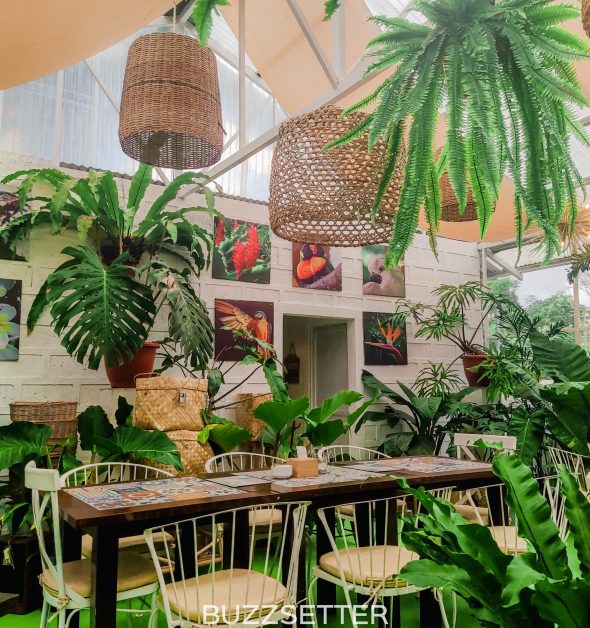 greenhouse-cafe-tagaytay-buzzsetter-25