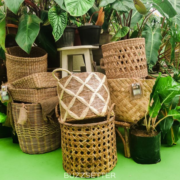 greenhouse-cafe-tagaytay-buzzsetter-27