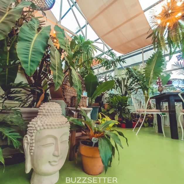 greenhouse-cafe-tagaytay-buzzsetter-26