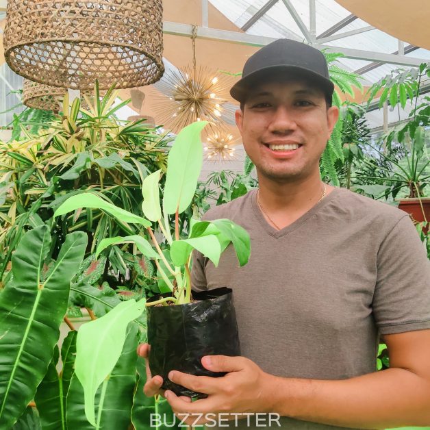 greenhouse-cafe-tagaytay-buzzsetter-20