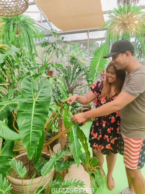 greenhouse-cafe-tagaytay-buzzsetter-22