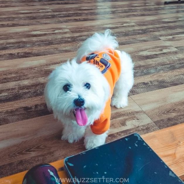 127767886 392772518701685 1949116950482644898 n