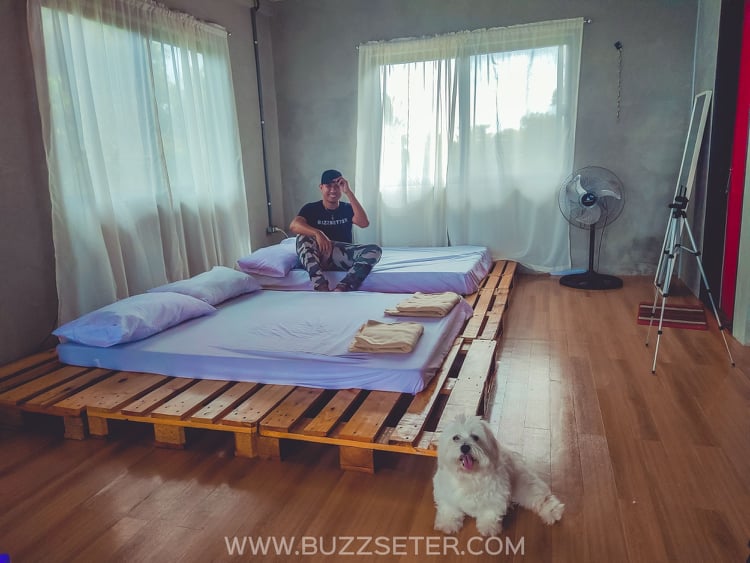 128251812 181524920289214 4040559019531518779 n