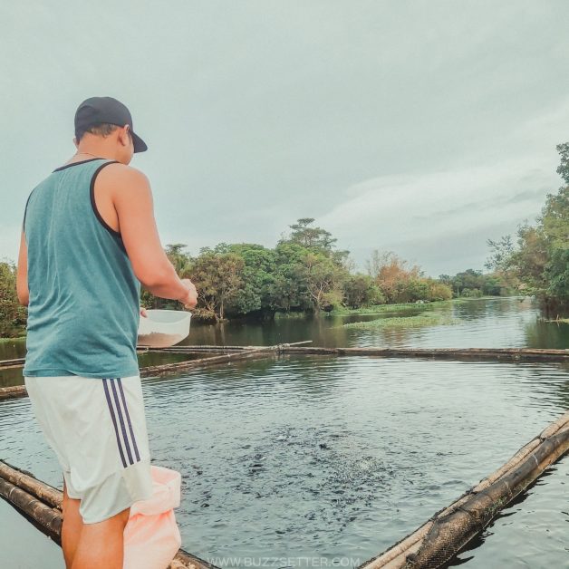 julians island lodge buzzsetter 12