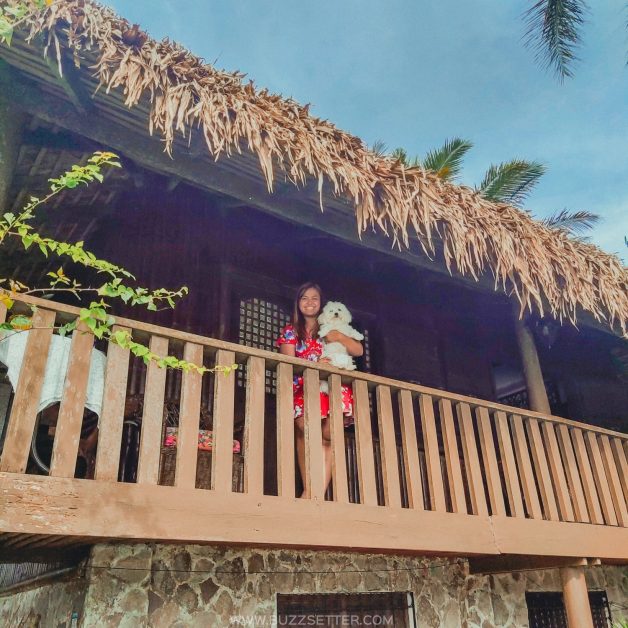 julians island lodge buzzsetter 4