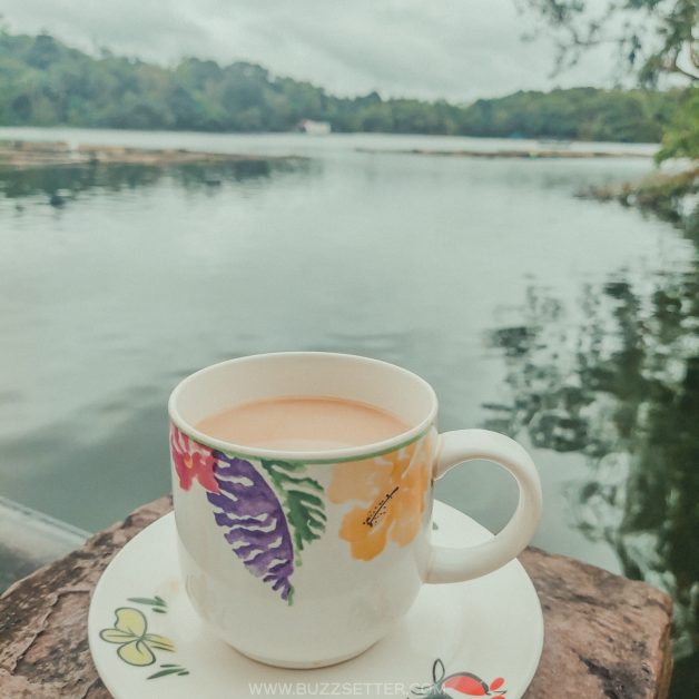 julians island lodge buzzsetter 6