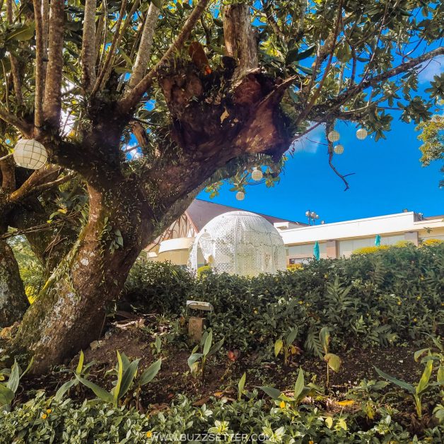 PicsArt 02 06 09.32.14