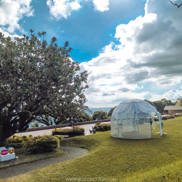 PicsArt 02 06 09.40.22