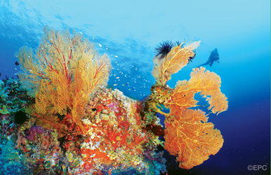 Philippines world travel awards 2021 3