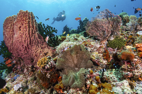 Philippines world travel awards 2021 5