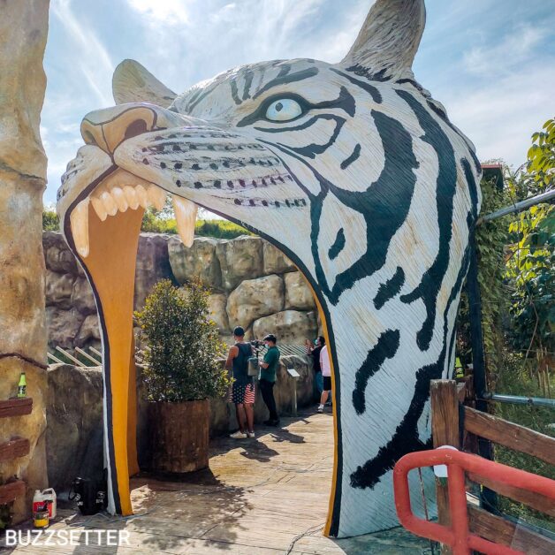 clark-safari-and-adventure-park-tiger-statue