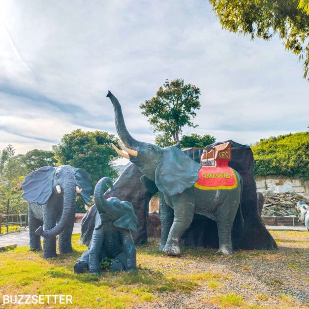 clark safari and adventure park elephants
