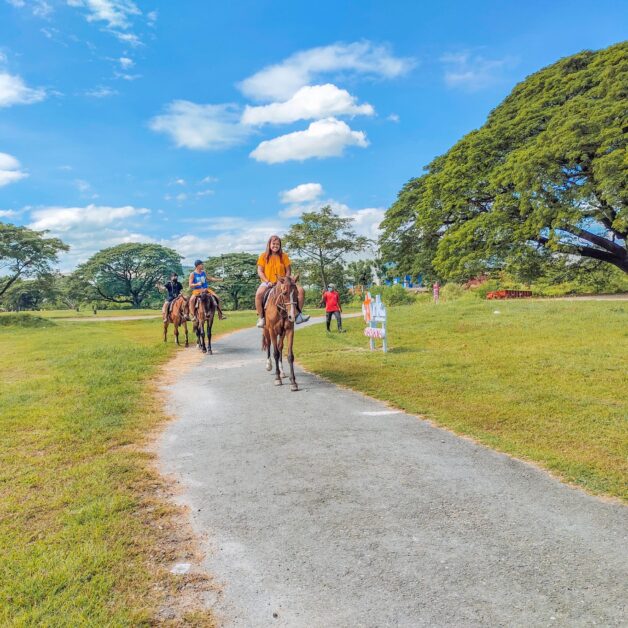 el kabayo clark pampanga horse