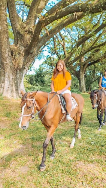 el kabayo clark pampanga horse