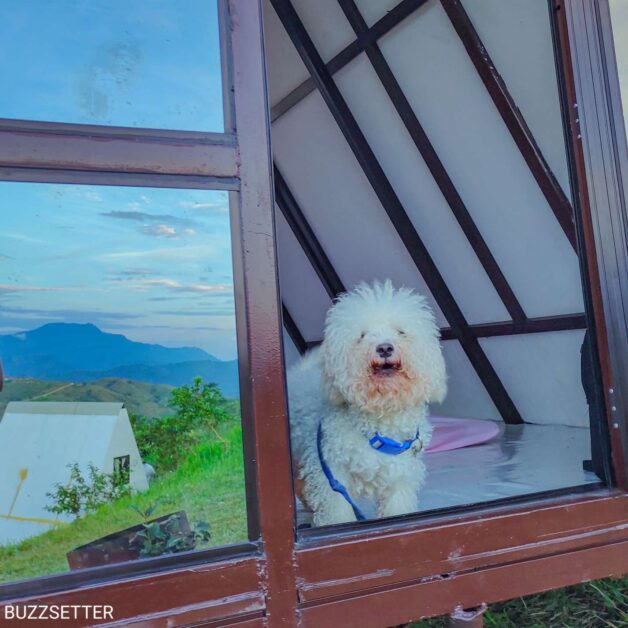 Compress 20220111 221317 7389