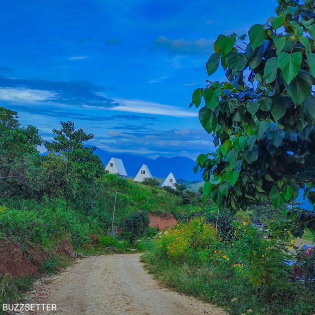 Compress 20220111 221317 7689