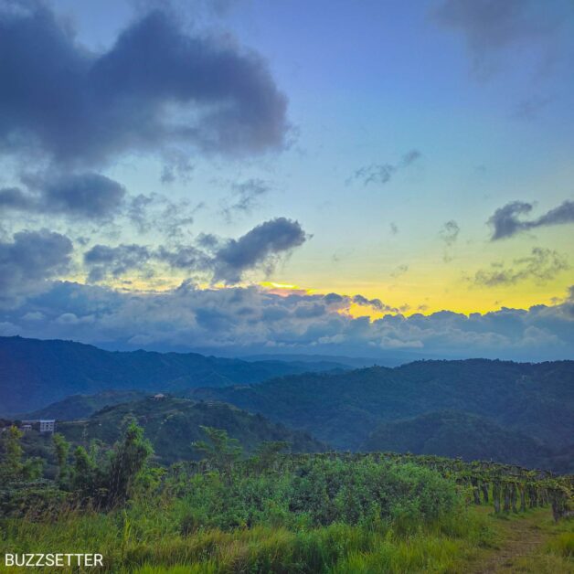 Compress 20220111 221317 7953