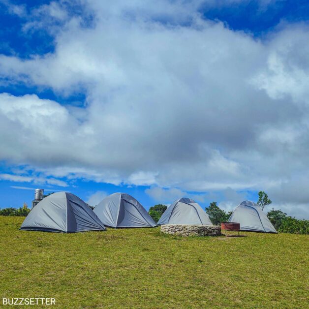 Compress 20220111 221323 3695