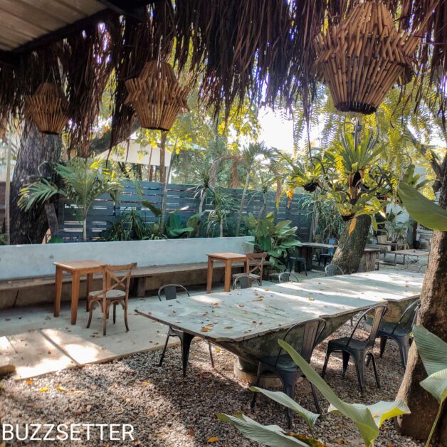 Compress 20220121 204339 9394