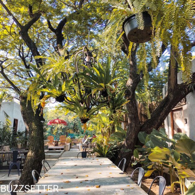 Compress 20220121 204342 2232