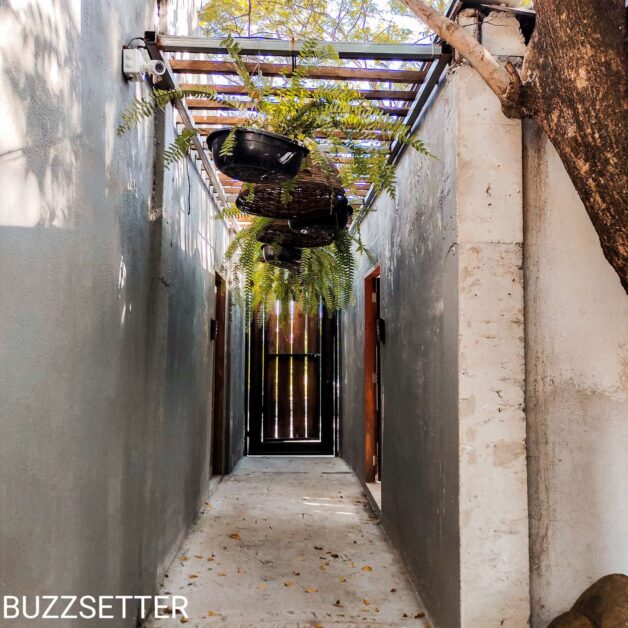 Compress 20220121 204344 4241