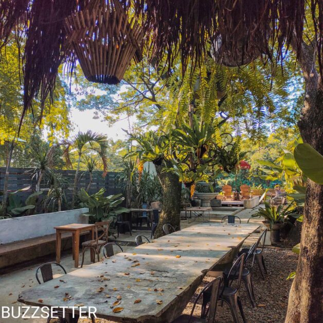 Compress 20220121 204344 4571