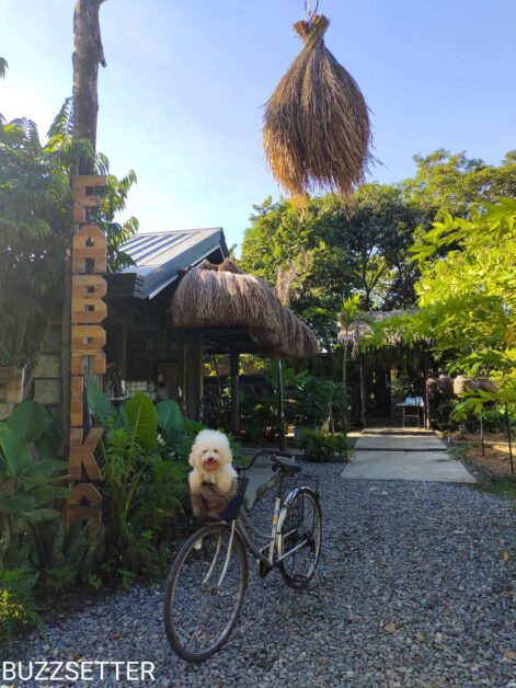 Compress 20220121 204345 5400