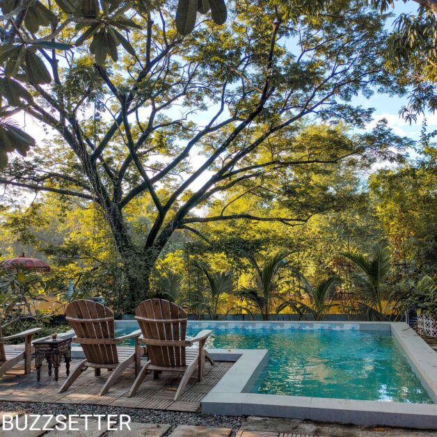 Compress 20220121 204346 6158