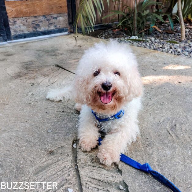 Compress 20220121 204346 6917