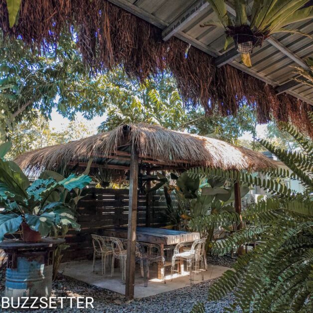 Compress 20220121 204349 9338